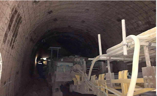 真功夫！物美价廉的“穿山甲”