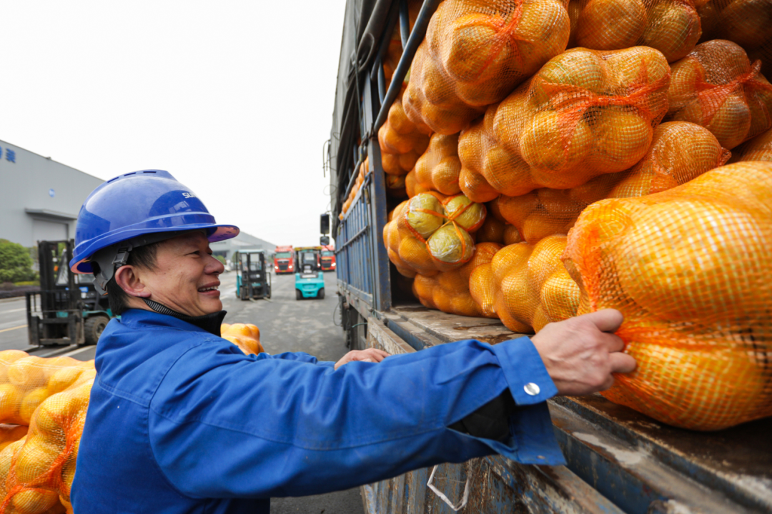 点赞！鸿运国际智能乐成入选“上市公司墟落振兴优异实践案例”