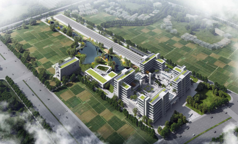 近20台“鸿运国际绿”装备实力集结，，助力广佛西环工程建设跑出“加速率”